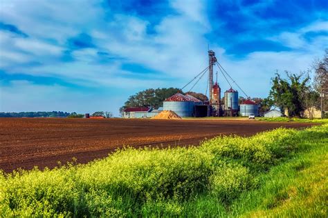 Georgia Farm Field Free Photo On Pixabay Pixabay