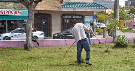 Dan Mantenimiento A Jardineras De Camellones Centrales Imagen Y