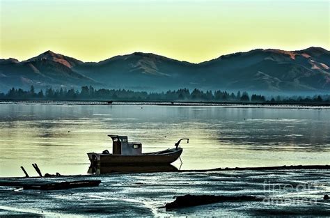 Anchored At Tillamook Bay Photograph By Jack Andreasen Fine Art America