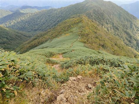 2022 09 25 谷川岳初で馬蹄形縦走時計回り 谷川岳・七ツ小屋山・大源太山の写真52枚目 笹ヶ岳から白毛門への登山道