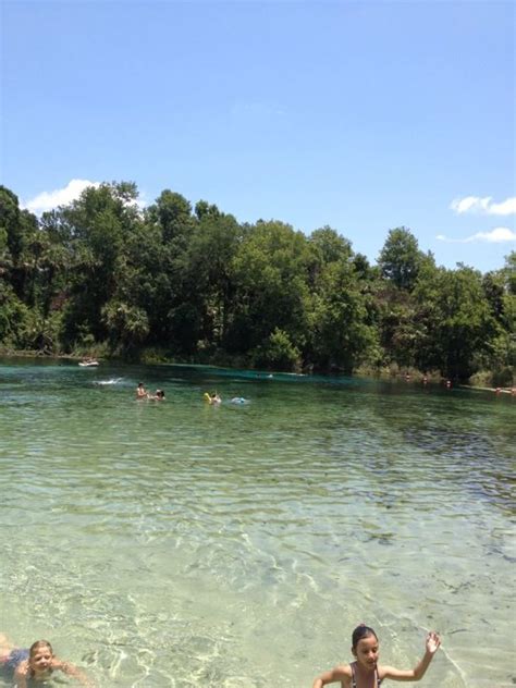 Alexander Springs Campground Ocala National Forest Us Forest Service Forest Service