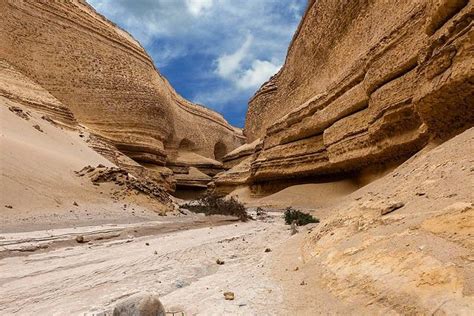 Tripadvisor Trekking Al Cañon De Los Perdidos ofrecido por DOLPHIN