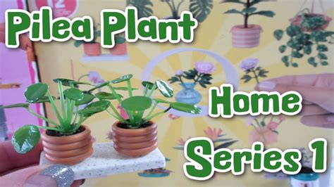 Miniverse Lifestyle Home Series 1 Pilea Plant YouTube