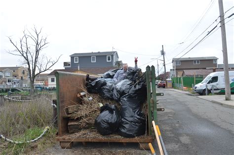 Restoration projects will save the jamaica bay ecosystem 21