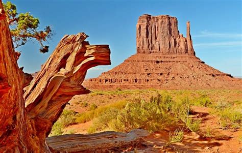 West Mitten Butte Free Stock Photo Public Domain Pictures