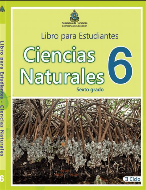 Libro Ciencias 6 Grado Image To U