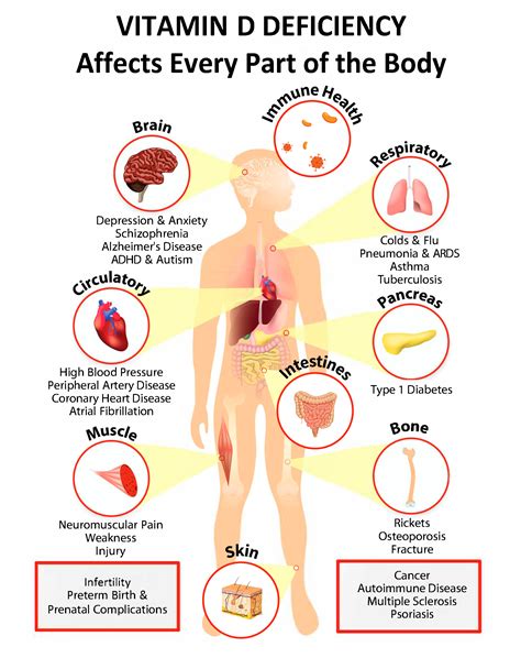 Vitamin D Is Essential To All Systems Of The Body Grassrootshealth