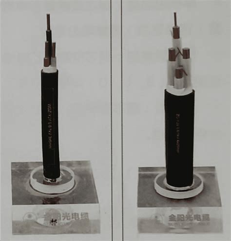 交联聚乙烯绝缘电力电缆 金阳光电缆 广东莞泰电缆有限公司