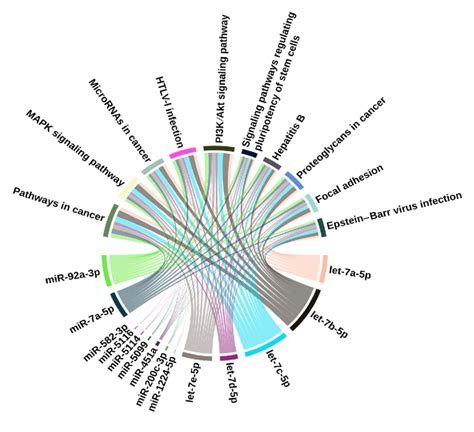 KEGG Pathways Enriched By The Predicted MRNA Gene Transcripts Targeted