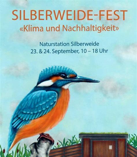 Besucht Uns Am Silberweide Fest Museum Wetzikon