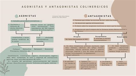 Agonistas Y Antagonistas Colin Rgicos Esther Sanca M Udocz