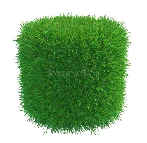 Round Piece Of Cropped Grass To Be Installed Stock Photo Image Of