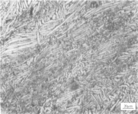 钛及钛合金 金相图谱1 钢铁知识 常州精密钢管博客网