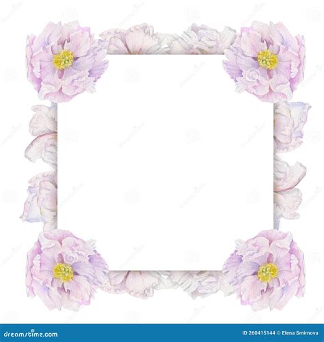 Watercolor Square Frame Arrangement With Hand Drawn Delicate Pink Peony