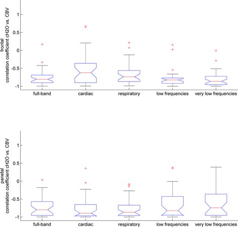 Correlations Between Fluctuation In Cerebral Water Ch O And