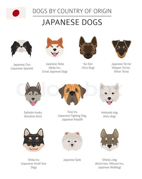 Japanese Dog Breeds