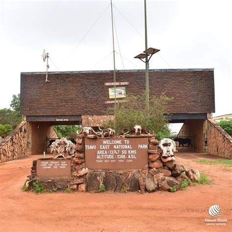 Tsavo East National Park - Kenya