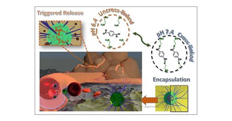 One Step Preparation Of Ph Responsive Polymeric Nanogels As Intelligent Drug Delivery Systems