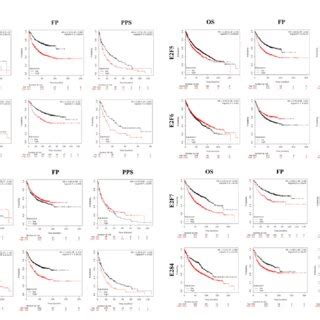 The Prognostic Value Of MRNA Level Of E2F Factors In LC Patients