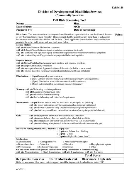 Delaware Fall Risk Screening Tool Fill Out Sign Online And Download Pdf Templateroller