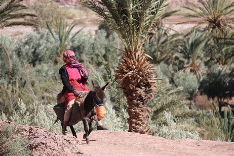 Los Bereberes En Marruecos Una Historia De Resistencia Y Cultura Ccd