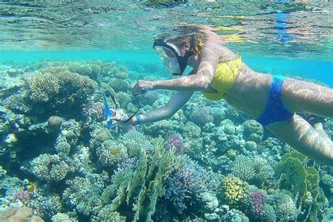 From Hurghada Sharm El Naga Full Day Snorkeling Tour GetYourGuide