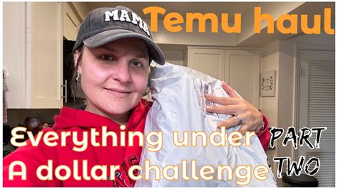 Everything Under A Dollar Challenge Temu Haul Part Two Youtube