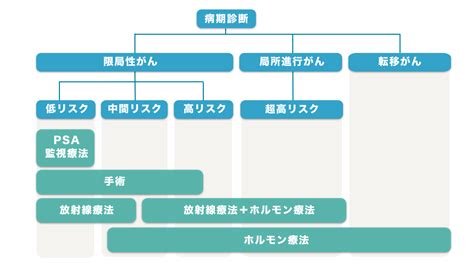 医師監修・作成 前立腺がんの治療の選び方：手術・放射線療法・薬物療法の選び方と再発時の治療 Medleyメドレー