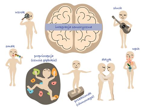 Integracja Sensoryczna Diagnoza Terapia Konsultacje Pozna