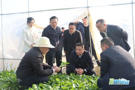 朱平波调研古培镇“引老乡回乡 促家门口就业”工作