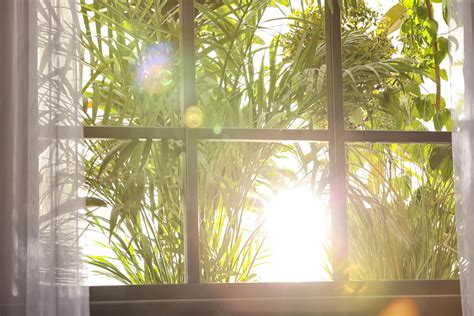 Open Your Windows: 4 Benefits of Sunlight for Health - Earthwise Windows