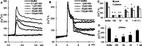 A Effect Of H On K Induced Ca Influx In Gh Cells H Or