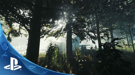 The Forest: Open-World Survival Horror Comes to PlayStation ...