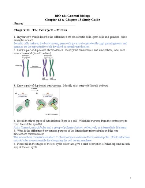 Chapt 12 And 13 Study Guide F23 Bio 181 General Biology Chapter 12