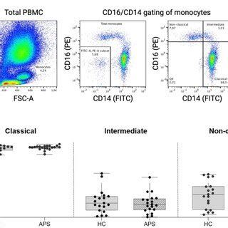 Identification of blood monocyte subsets by flow cytometry. (A) Gating ...