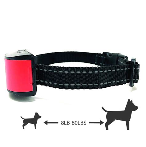 Bark Collar For Small Dog Canada at Imelda Metzger blog