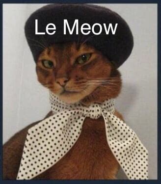 When I See Lmao I Always Think Of A French Cat Meowing Gag