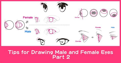 Tips For Drawing Male And Female Eyes Part 2 Anime Art Magazine