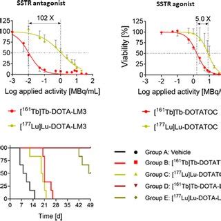 arj tumor cell viability mtt assay  kaplanmeier plot