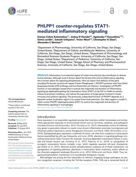 Pdf Phlpp1 Counter Regulates Stat1 Mediated Inflammatory Signaling