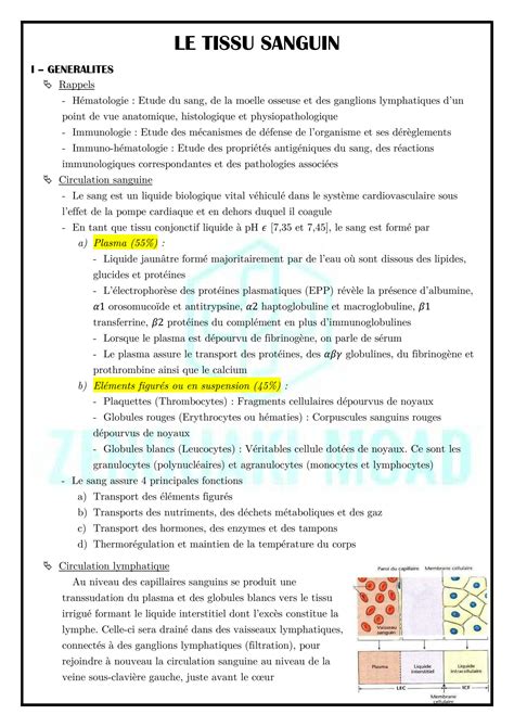 Solution Hematologie Biologique Studypool