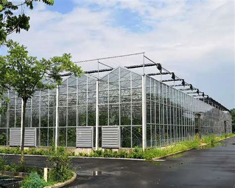 Hot Dip Galvanized Steel Frame Agricultural Commercial Polycarbonate