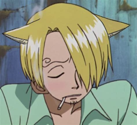 Catboy Sanji One Piece Pictures One Piece Anime One Piece Meme