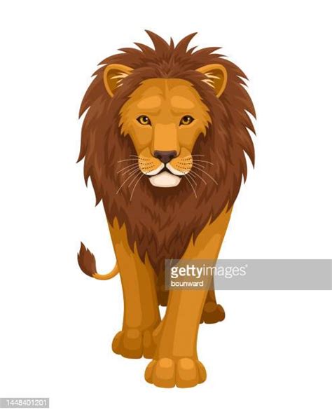 124 Lion Roaring Front View Stock Photos, High-Res Pictures, and Images - Getty Images