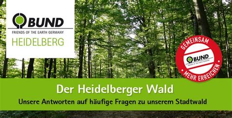 Fragen Und Antworten Zum Heidelberger Wald