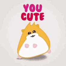 cute   gifs tenor