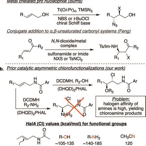 A Prior Art In Catalytic Asymmetric Haloamination Or Equivalent Download Scientific Diagram