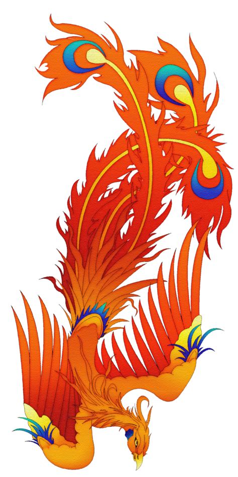 Phoenix Tattoo Design Phoenix Design Tattoo Phoenix Phoenix