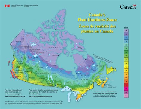 Hardiness Zones Frost Dates HireNature