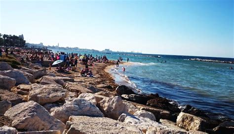 Spiaggia Pane E Pomodoro La Balneazione Libera Della Citt Di Bari